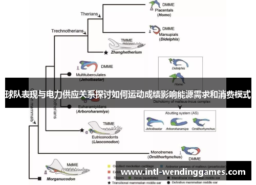 球队表现与电力供应关系探讨如何运动成绩影响能源需求和消费模式