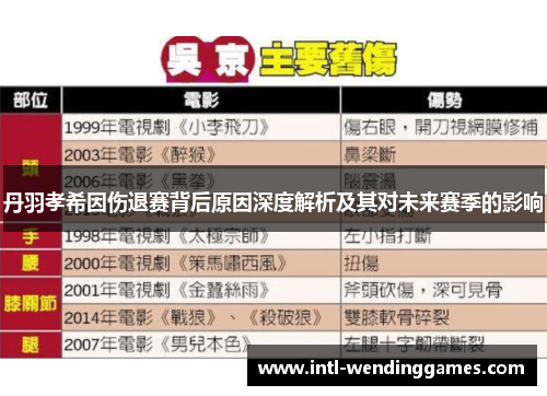 丹羽孝希因伤退赛背后原因深度解析及其对未来赛季的影响