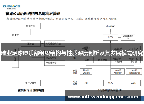 建业足球俱乐部组织结构与性质深度剖析及其发展模式研究
