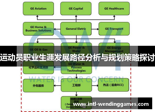 运动员职业生涯发展路径分析与规划策略探讨