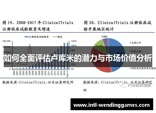 如何全面评估卢库米的潜力与市场价值分析 如何全面评估卢库米的潜力与市场价值分析