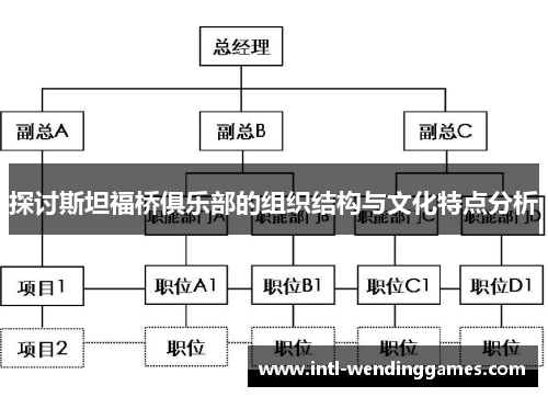 探讨斯坦福桥俱乐部的组织结构与文化特点分析